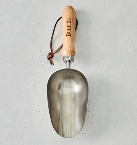 Burpee 15" Stainless Steel Soil Scoop | Durable Long Lasting Garden Tool | Leather Wrist Strap 5" Handle, Oak - color: Oak, style: Scoop