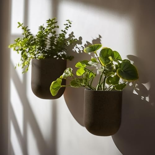 LA JOLIE MUSE Wall Planters for Indoor Plants, Hanging Flower Pots, 2 Pack - color: Iron