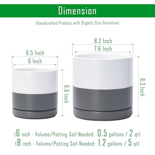 D'vine Dev 2-Pack Ceramic Pots with Saucers, 6/8 in, White/Grey, 94-G-M-6 - color: White/Speckled Grey, size: Medium