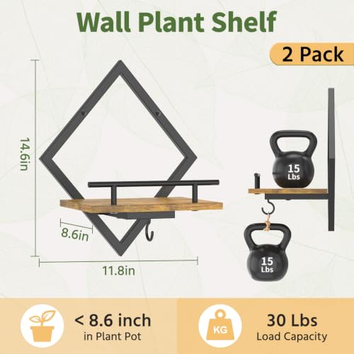LASZOLA Plant Picture Frame Holder Shelf Wall Window Indoor, 2 Pcs Brown - color: Antique Black+Brown, size: 2