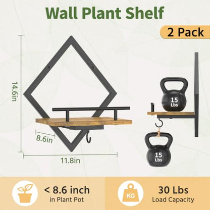 LASZOLA Plant Picture Frame Holder Shelf Wall Window Indoor, 2 Pcs Brown - color: Antique Black+Brown, size: 2
