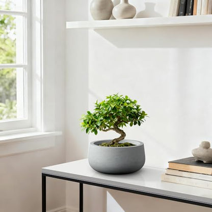 Kante Accent Round Bowl Pale Gray Concrete Planter 16" Dia, Outdoor - color: Natural Concrete, size: 15.7"w