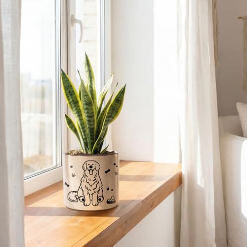 STHIE Ceramic Planters with Drainage Holes, 5 Inch Pots for Indoor Plants - color: Cy-goldbowl01
