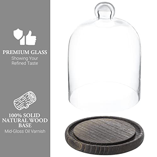 MyGift 9 Inch Clear Glass Cloche Dome Bell Jar With Wood Base