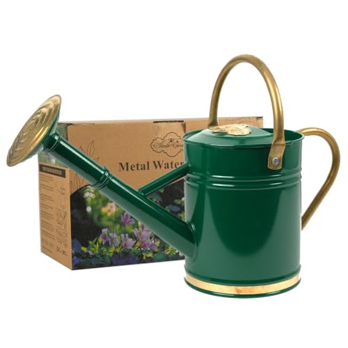 1 Gallon Green Metal Watering Can with Solid Brass Accents - color: Emerald Brass