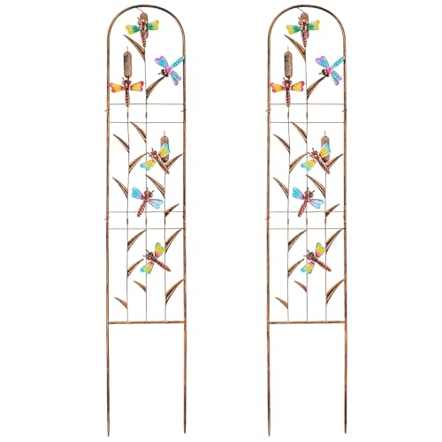aboxoo 2-Pack Dragonfly Metal Garden Trellis for Climbing Plants