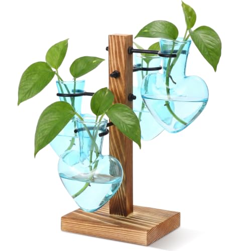 ReliThick Water Plant Propagation Station with 4 Heart Glass Vases Bulb