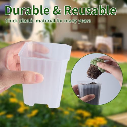 30Pcs 3 Inch Clear Nursery Pots with Saucers, Square Plastic Plant Pot - color: Transparent 02
