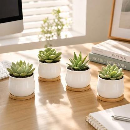 ZOUTOG 12 Pack 2.6" Mini Ceramic Succulent Pots with Drainage Hole - size: 2.6inch