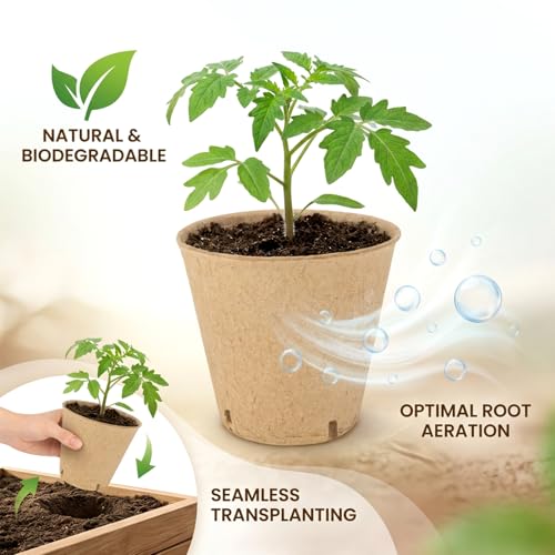 Peat Pots for Seedlings - 25 Pack Seed Starting Pots with Drainage Holes