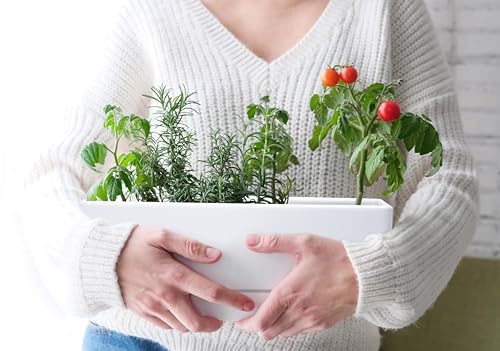 D'vine Dev 2-Pack Rectangular Planters, 12 x 4.5 in, White, 76-X-A-2 - color: White