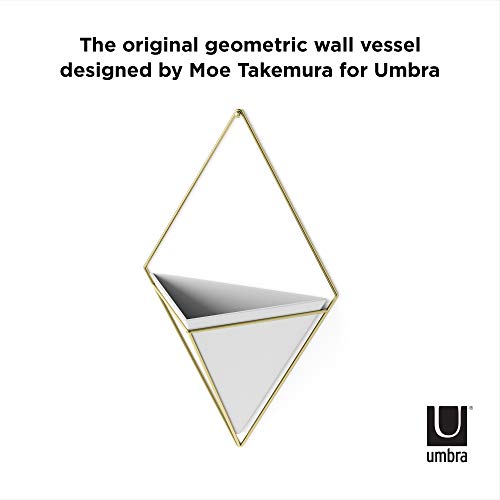 Umbra Trigg Hanging Planter for Small Plants, Large, White/Brass - color: White/Brass, size: Large