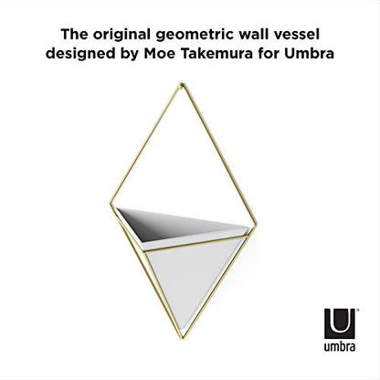 Umbra Trigg Hanging Planter for Small Plants, Large, White/Brass - color: White/Brass, size: Large