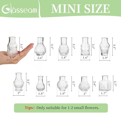 Glasseam Mini Bud Vases for Centerpieces: 40Pcs Clear Glass Vases in Bulk - size: 40pcs