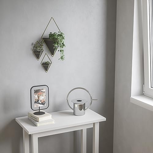 Umbra Trigg Hanging Planter for Small Plants, Set of 2, Small, Black/Brass - color: Black/Brass, size: Small