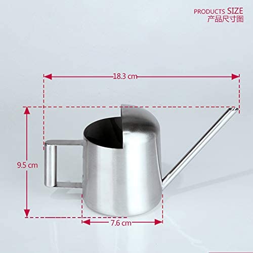 Mini Watering Can, 10oz/300ml Stainless Steel Long Spout Small Watering Can for Indoor Plants Succulents, Herbs (Silver) - color: Silver