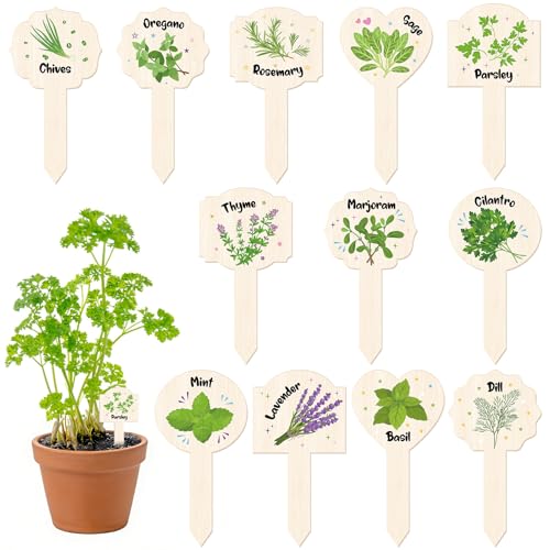 24 Pcs Acrylic Herb Garden Signs Plant Labels Wood Grain Waterproof Reusable Plant Stake Markers Plant Tags with Names for Garden Seedlings Nursery Indoor Outdoor Permanet Labels Markers - color: Wooden