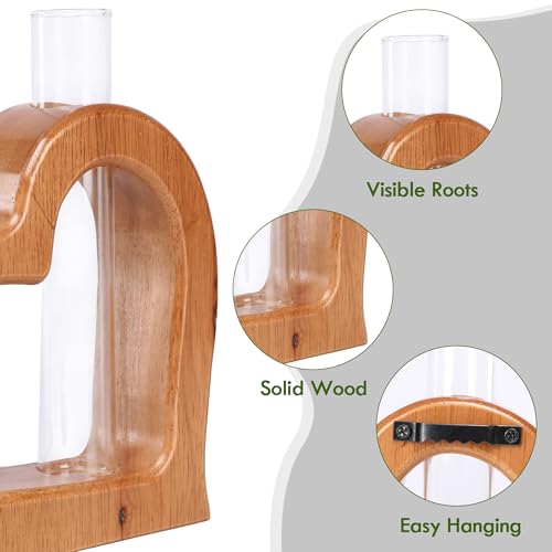 Glass Test Tube Plant Propagation Station Wooden Terrarium Holder - size: 5.3*5.3IN