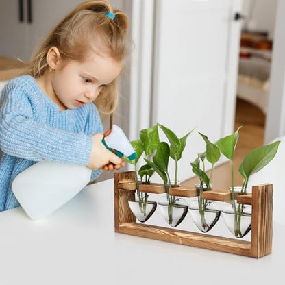 Plant Propagation Stations Heart Plant Terrarium Kit - color: Gray