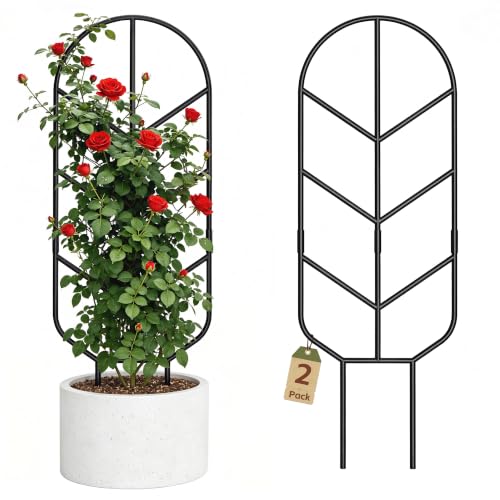 2 Pack 30'' Large Metal Plant Trellis for Climbing Plants, Tall Plant Support for Indoor & Outdoor Use, Modern Decorative Trellis for Potted Plants (2 Pack) - size: 2 PACK