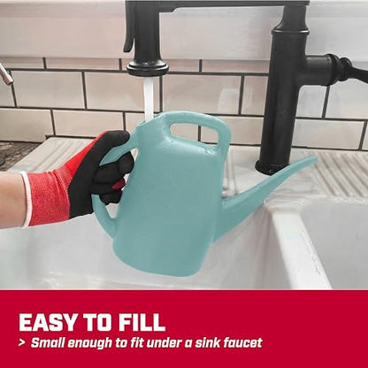 CHAPIN 48007 1/2-Gallon Watering Can, Easy-Pour Dual Handle Design - style: 0.5 Gallons, Sky Blue