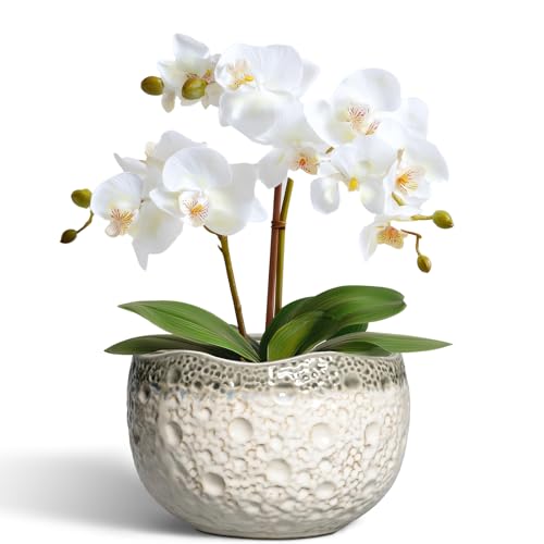 Ceramic Pots for Plants, 6 Inch Plant Pot Indoor, Beige-Grey - color: Beige-grey, size: 6.2 Inch