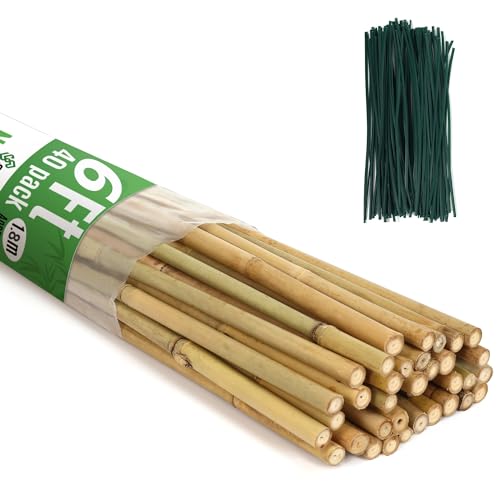 SWANGSA 40 Pack Bamboo Stakes for Plant 6 Feet,Bamboo Sticks Garden Plant Support Stakes Poles with 200pcs Twist Ties for Tomatoes, Beans, Flowers, Trees, Indoor and Outdoor Climbing Plants - size: 6 Feet