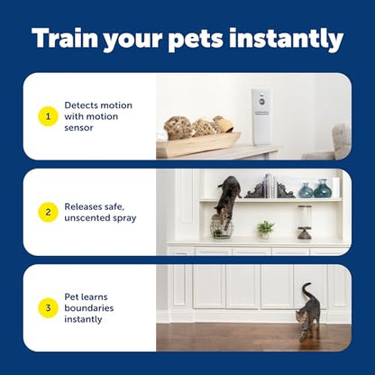 PetSafe SSSCAT Refill Can - style: Replacement Can - 1-Pack
