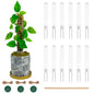 Small Moss Pole for Monstera - Stackable & Refillable Plastic Moss Poles for Climbing Plants with Large Mesh Design (12Pack-White-Small) - size: 12Pack-White-Small
