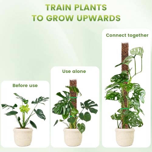 EOX Plastic Moss Pole for Monstera and Climbing Plants, 24-Inch, 6-Pack