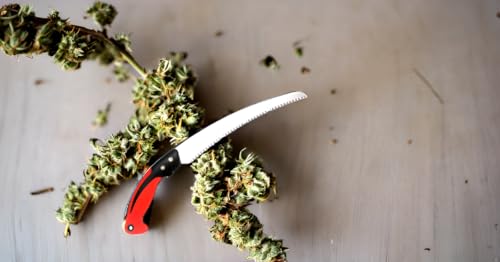 11 Inch/ 270mm Hand Pruning Saw Outdoor Camping Hand Saw