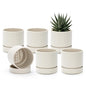 Phoenix Vine 4 Inch Planter Pot with Drainage Hole & Saucer, Deep Water Catch Tray, Straight Cylindrical Round Pot for Plants, Oatmeal, Pack of 6, 23-E-R-6 - color: Oatmeal, size: 4" (6 Pack)