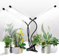 Grow Light for Indoor Plants Growing,Super Bright Clip Desk Gooseneck Lamp