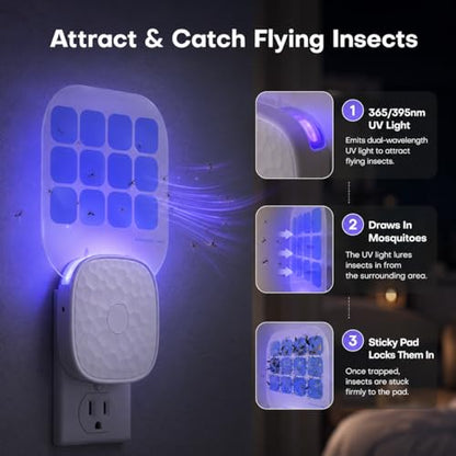 Fruit Fly Traps for Indoors 2 Pack with Double-Sided Sticky Glue Cards