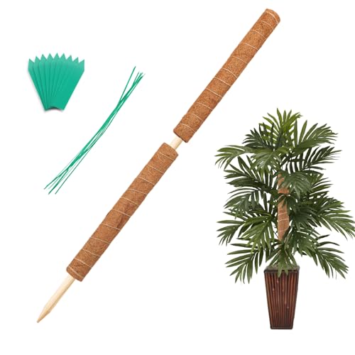 Augshy 34 Inch Moss Pole, 2 Pack 19.5 Inch Moss Poles for Climbing Plants Monstera, Moss Sticks for Indoor Plant Support Plant Stakes for Indoor Climbing Plants Grow Upwards with Garden Ties - size: 34 inches