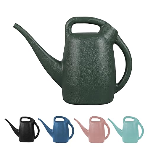 CHAPIN 48005 1/2-Gallon Watering Can, Easy-Pour Dual Handle Design - style: 0.5 Gallons, Green