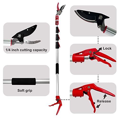 5.4-14.8 FT Tree Pruner Extendable 4 Sections, Telescopic Cut and Hold Trimmers Pole Saws Trimming Long Reach Pruning Shears Branch Cutter Clipper Bypass Lopper Fruit Picker