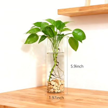 Wall Hanging Planter Propagation Station, Indoor Decor Glass Vases, 2 Pack