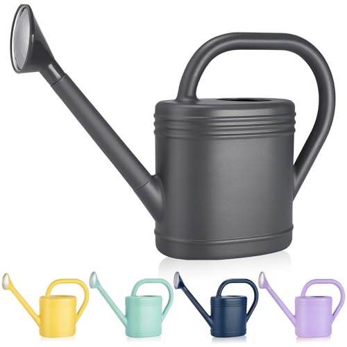 1 Gallon Watering Can for Indoor Plants, Garden Watering Cans for Outdoor Plant House Flower, Modern Plant Watering Can Large Long Spout with Sprinkler Head - color: Gray, size: 1 Gallon