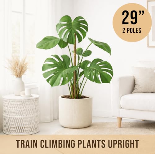 Craft911 29" Moss Pole Monstera Plant Support, Indoor Plant Stakes - size: 2-Pack (29 in)
