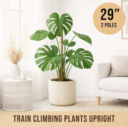 Craft911 29" Moss Pole Monstera Plant Support, Indoor Plant Stakes - size: 2-Pack (29 in)