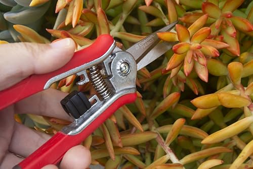 Corona Tools FS43623 Yard Essentials Mini Floral Snips, Red - size: Floral Snips