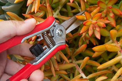 Corona Tools FS43623 Yard Essentials Mini Floral Snips, Red - size: Floral Snips