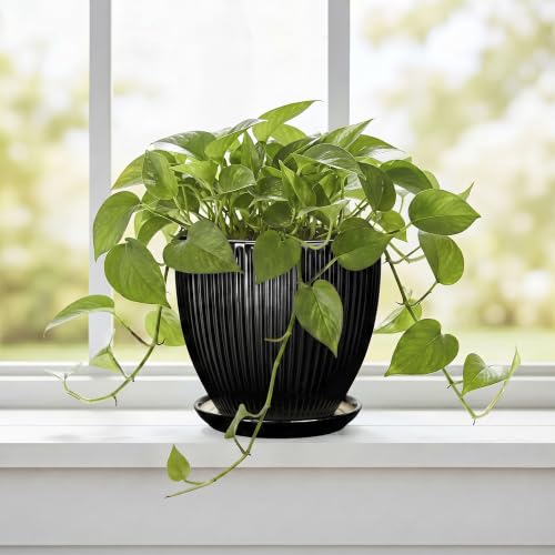 6 Inch Ceramic Planter, Indoor Plant Pots with Saucer, Black - color: Black, size: 6 Inch