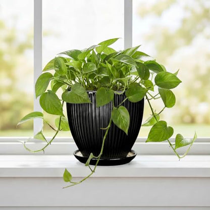 6 Inch Ceramic Planter, Indoor Plant Pots with Saucer, Black - color: Black, size: 6 Inch