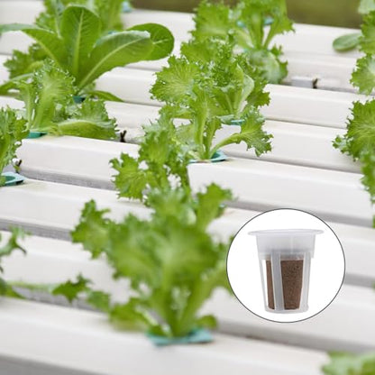 62 PCS Hydroponic Seed Growing System Kit