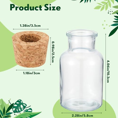 12 Pack Glass Plant Propagation Stations, Cylindrical - style: Cylindrical