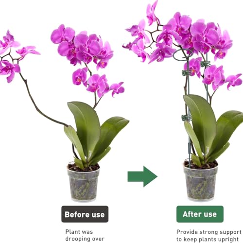 LeJoy Garden 22Pcs Bendable Plant Stakes with Clips for Orchid, Monstera - color: Green