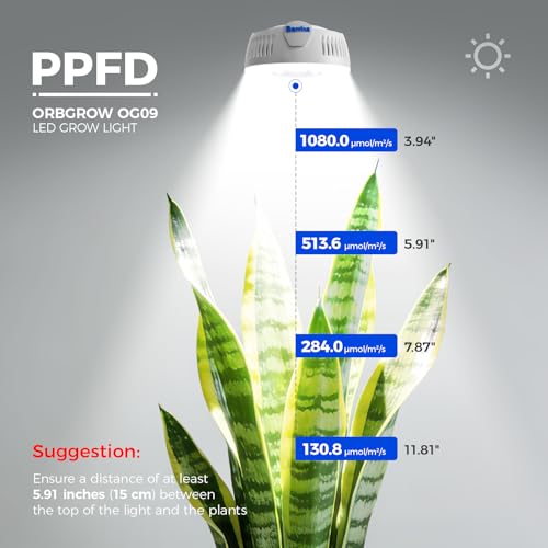 Barrina OG09 Puck Grow Light, 36W(4 x 9W), 5000K, Timer, 4 Packs, White - color: 5000K-White Cover, size: 4 Packs with Timer