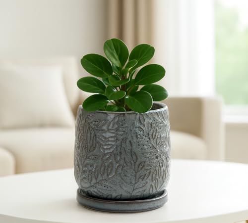 D'vine Dev Embossed Leaves Ceramic Planter, 4 in, Graphite Blue, 27-A-Z-9 - color: Graphite Blue, size: 4 Inch